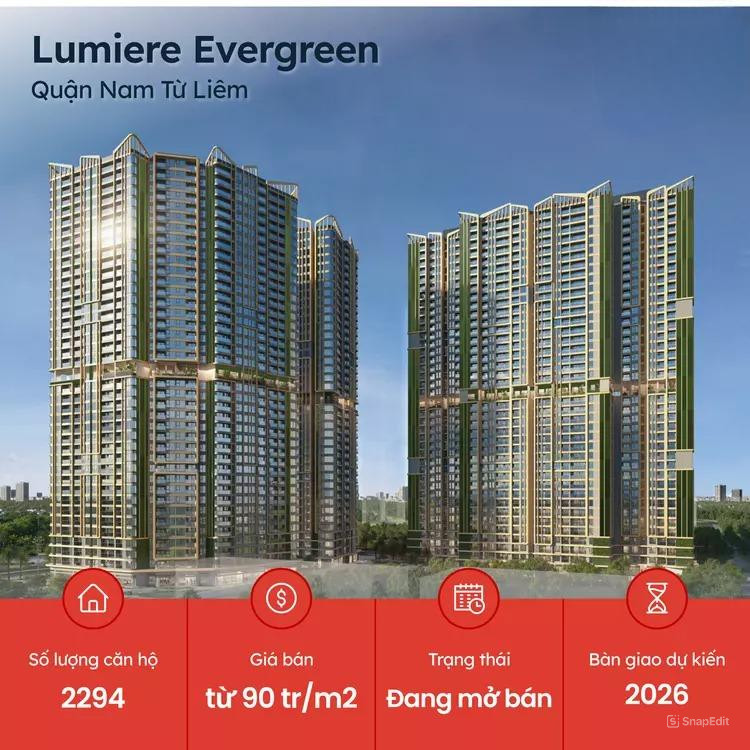 Lumiere Evergreen